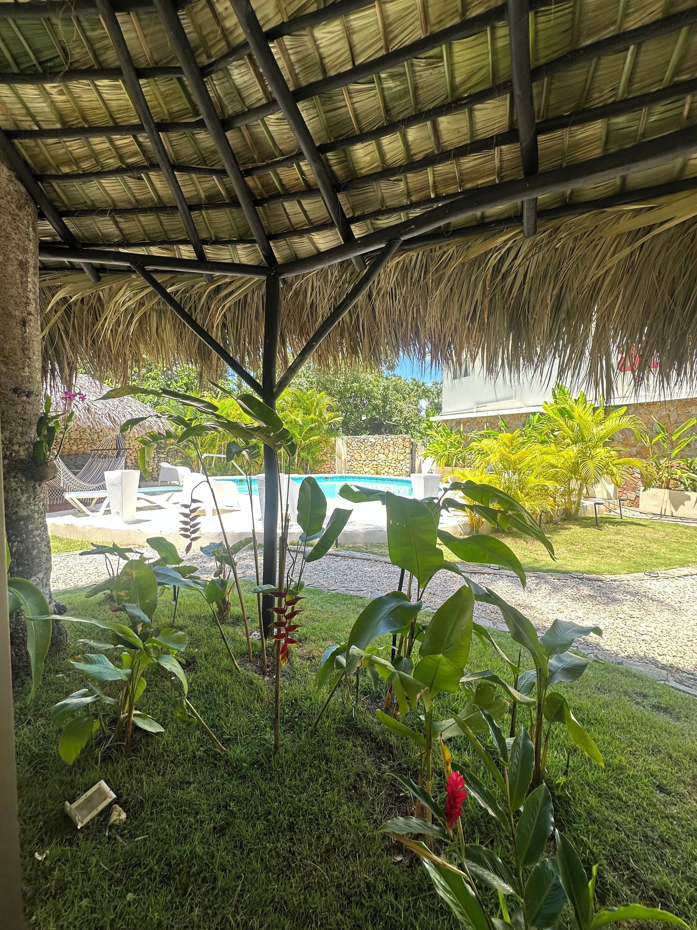 A covered outdoor area with a thatched roof, surrounded by lush greenery and a stone wall.