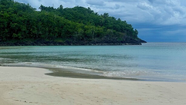 Una playa con una orilla arenosa y una isla boscosa al fondo.