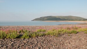 A rocky beach with pink flowers and a distant view of a hill. - The Old Thatch (Minehead)