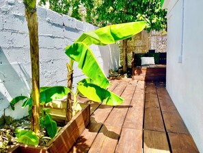 Property grounds - Casa Emerald, by the beach. (Luquillo)