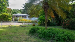 Un jardin tropical avec un bâtiment blanc, une végétation luxuriante et un palmier.