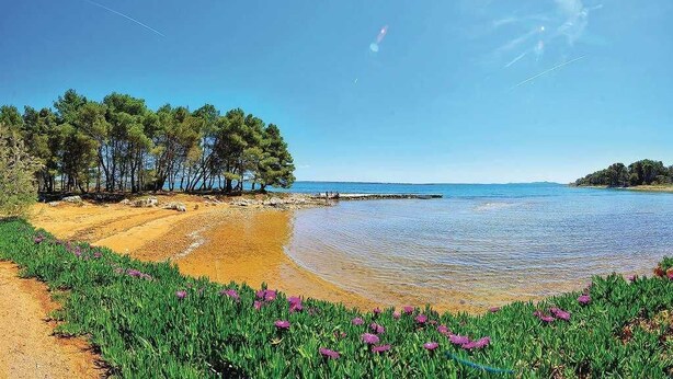 Unclassified image, 1 of 39, button - Holiday home Tomislav for 12 guests near the beach (Vir)