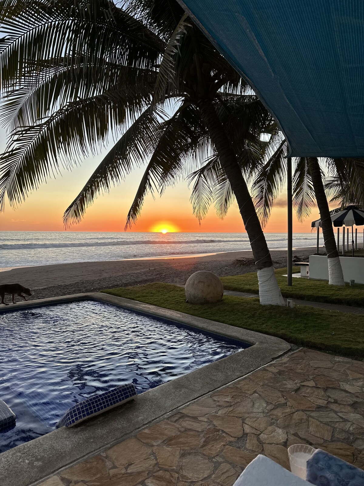 Imagem do perfil do anfitrião