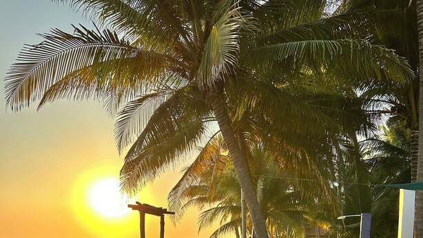 Unclassified image, 1 of 26, button - Beachfront property, hidden gems a private tropical Paradise breathtaking view (La Libertad)