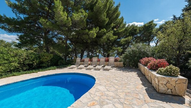 Une piscine aux bords recouverts de pierres, entourée d’arbres et de plantes.