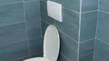 Secador de cabelo, sabonete, papel higiênico