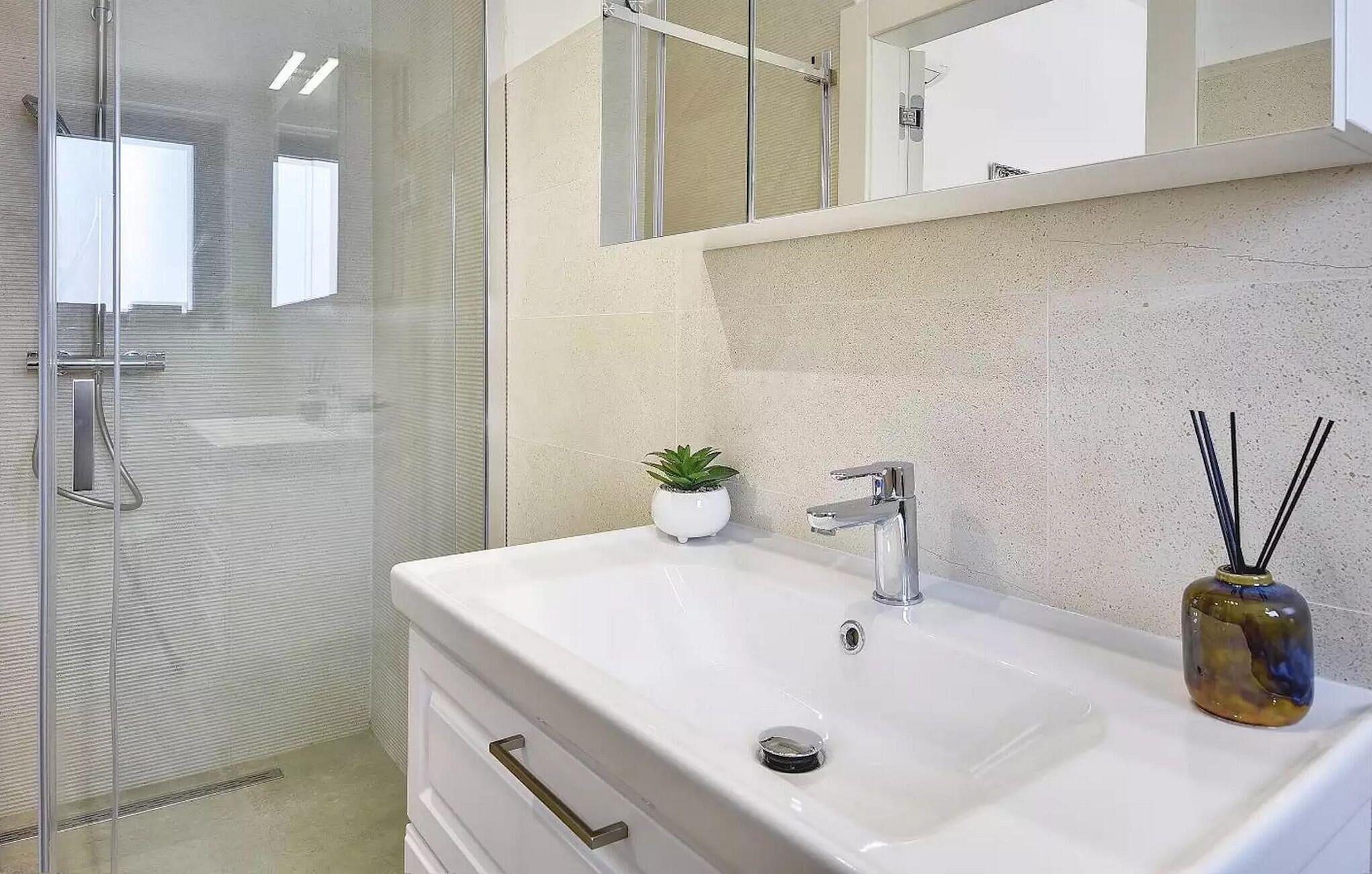Un bagno con un lavandino bianco, una piccola pianta in vaso e un box doccia in vetro.