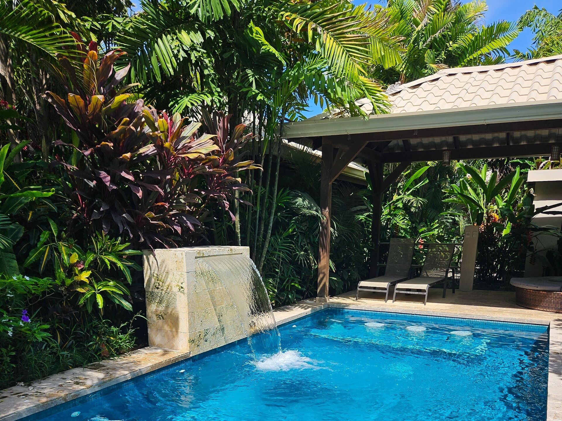 Ein Pool mit Steinsims, umgeben von üppigen tropischen Pflanzen und einer überdachten Sitzgelegenheit.
