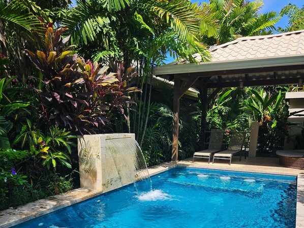 A swimming pool with a stone edge, surrounded by lush tropical plants and a covered seating area.