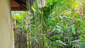 Un pommeau de douche laissant couler l’eau dans un jardin luxuriant et verdoyant.