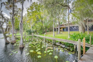 Walk across the tranquil boardwalk surrounded by lush greenery and tall trees.