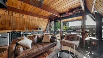 Smart TV, fireplace, books