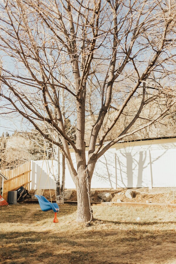 A leafless tree in a yard with a swing set and a white building in the background. - Rims view pet friendly home (Billings)