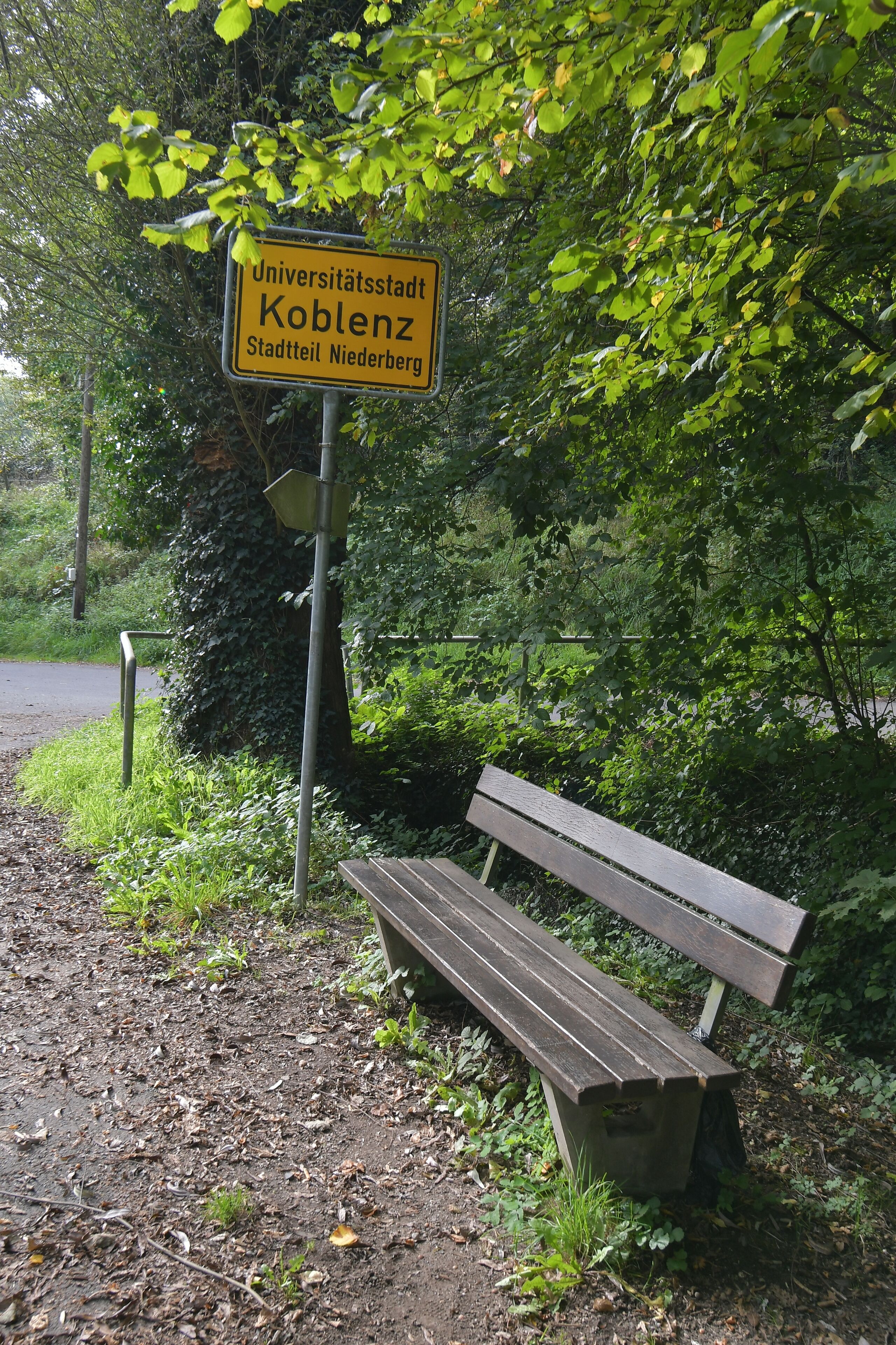 Een bank onder een boom, met een geel bord op de achtergrond.