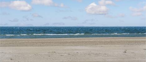 Tæt på stranden, fiskeri