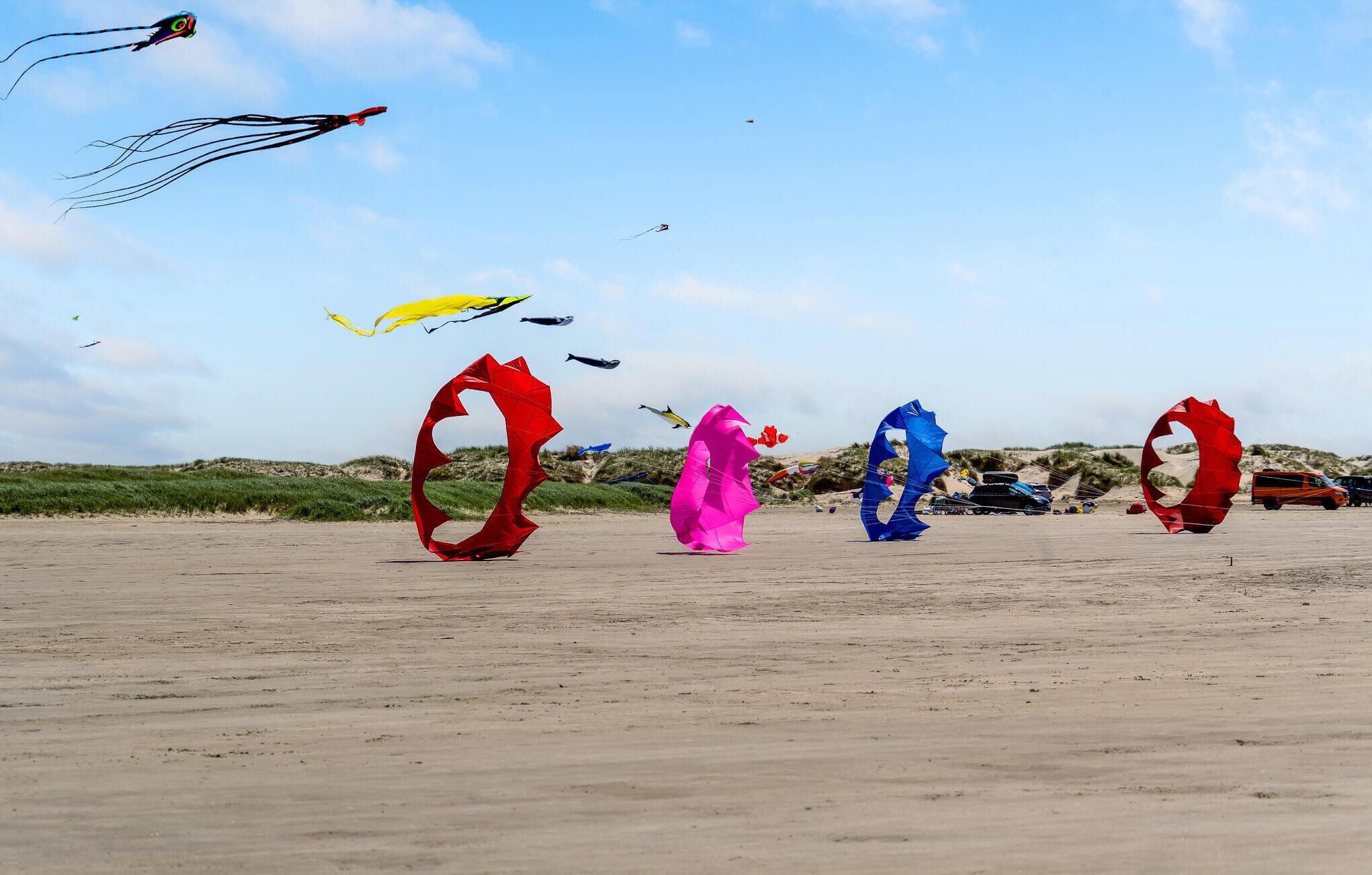 Una playa arenosa con varios cometas de colores volando en el cielo.