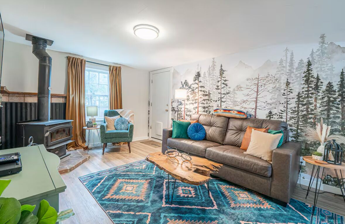 Smart TV, fireplace, DVD player, books