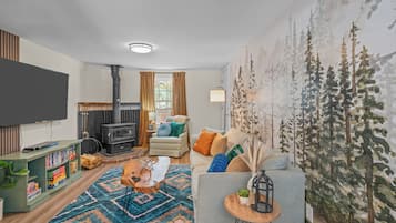 Smart TV, fireplace, DVD player, books