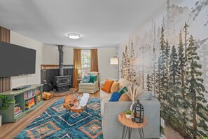 Smart TV, fireplace, DVD player, books