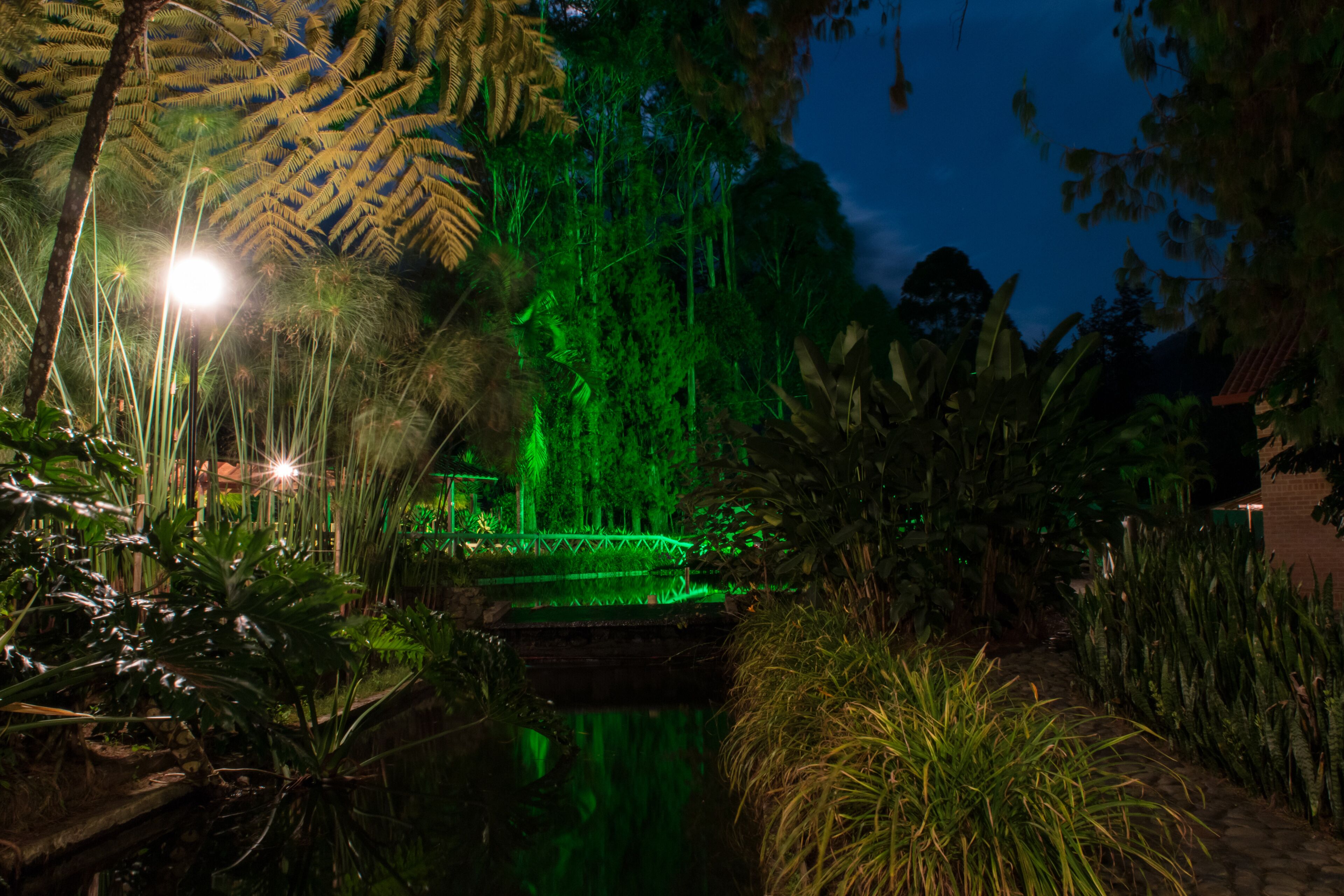 A nighttime garden with a water feature and illuminated plants.