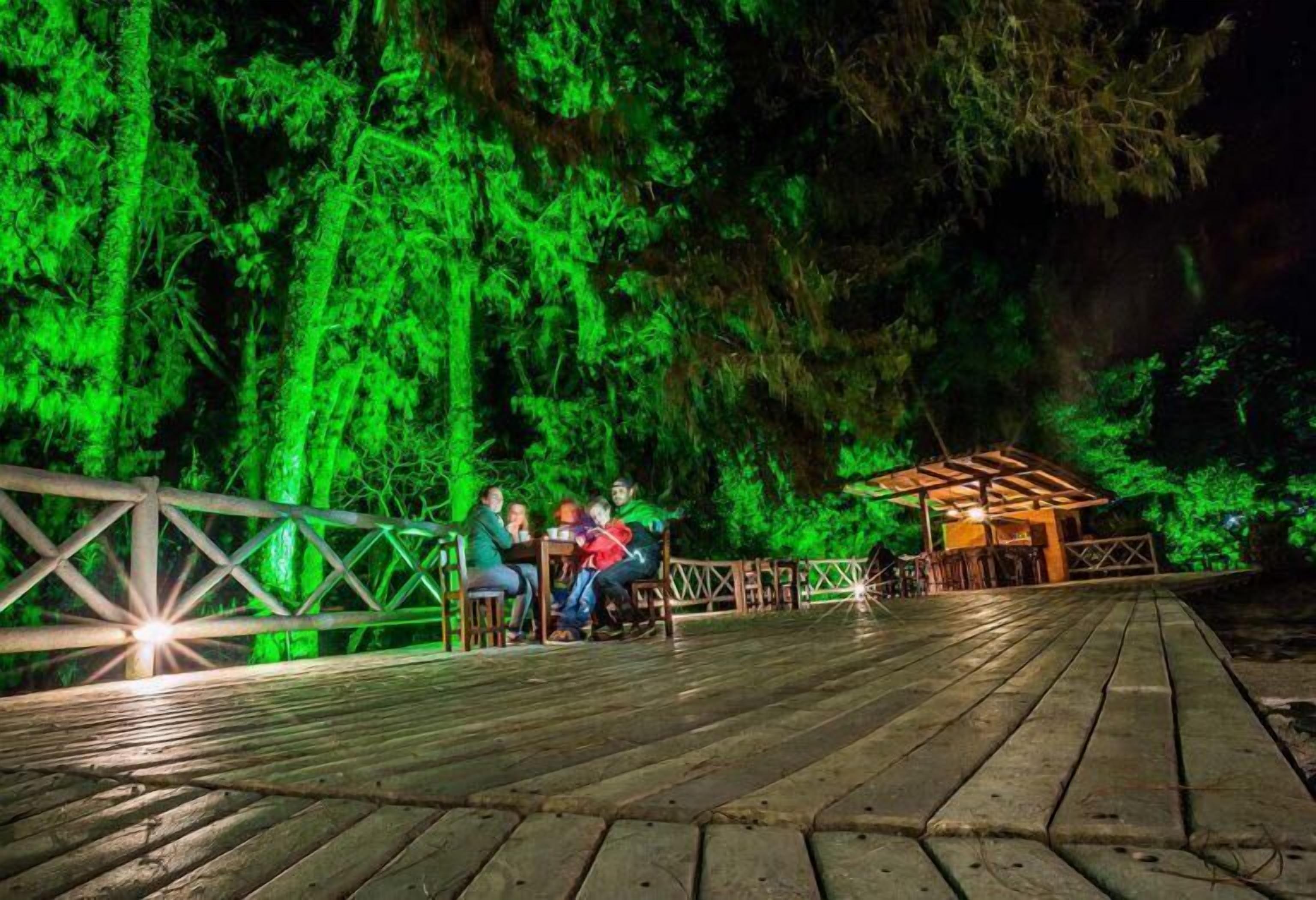 A wooden deck with a group of people seated at a table, surrounded by a forested area with green lighting.