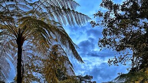 A modern, triangular-shaped building with a large open entrance and a well-lit interior, surrounded by lush greenery and trees. - Avalon Hotel Campestre en Jardin (Jardin)