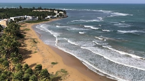 A beach with palm trees and ocean waves. - << NEW >> Completely Renovated, Playa Azul-Tower 1, 17th Floor, 1 Bedroom 1Bath  (Luquillo)