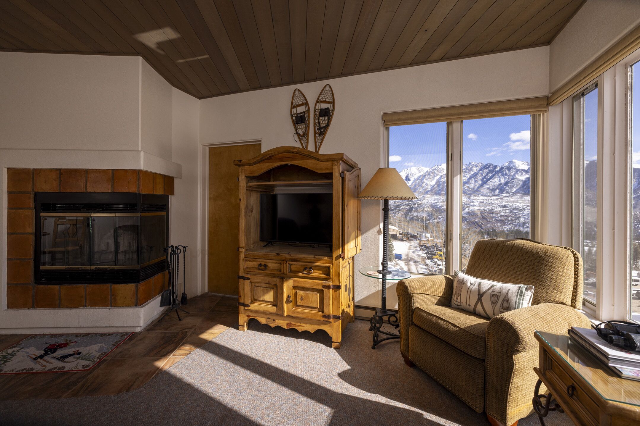 TV, fireplace, books