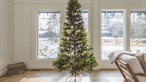 A spacious room with large windows, a wooden floor, and a Christmas tree. - Belacasa Where Modern Comfort Meets the Quiet of the Woods (Douglas)