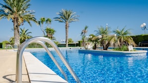 A swimming pool with metal railings, surrounded by palm trees and a clear blue sky. - Acogedor Apartamento con Piscina a un Minuto de la Playa (Miami Platja)