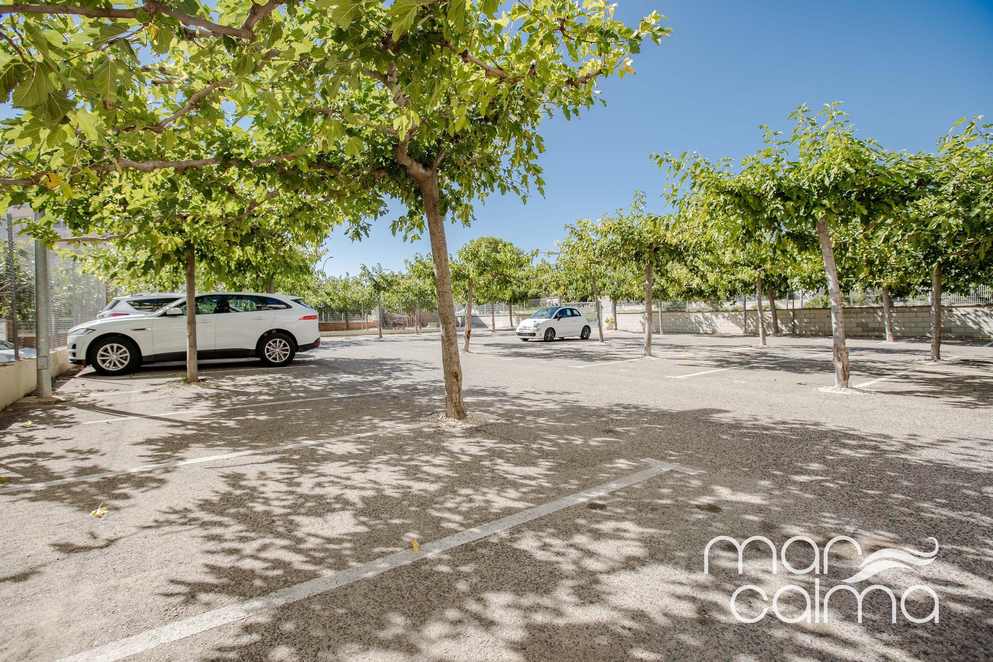 A parking area with trees and two parked cars.