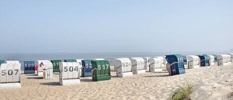 Playa en los alrededores