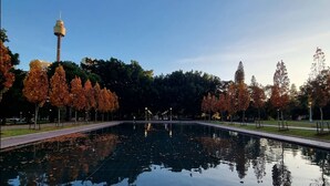 A tranquil park with a reflective pool, autumn trees, and a tower in the background. - Future Space in the heart of Darlinghurst (Darlinghurst)