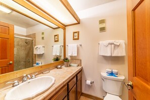 Hair dryer, towels, shampoo, toilet paper