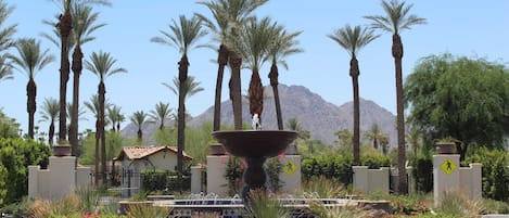 A landscaped area with a central fountain, palm trees, and a mountain in the background.