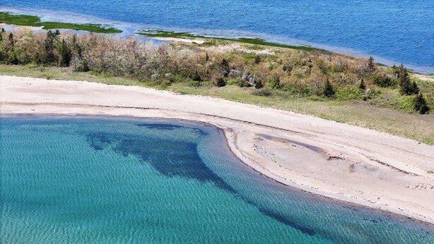 Vista aérea de una playa con agua turquesa cristalina, orilla arenosa y zona boscosa al fondo.