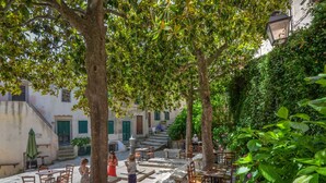 Un café al aire libre con mesas y sillas, rodeado de árboles y un edificio con escalones.
