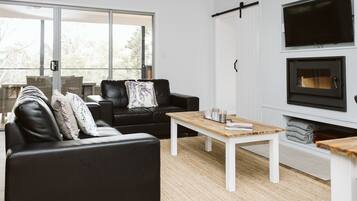 Smart TV, fireplace, books