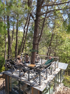 View from property - Sunrise Cottages Kasauli (Kasauli)