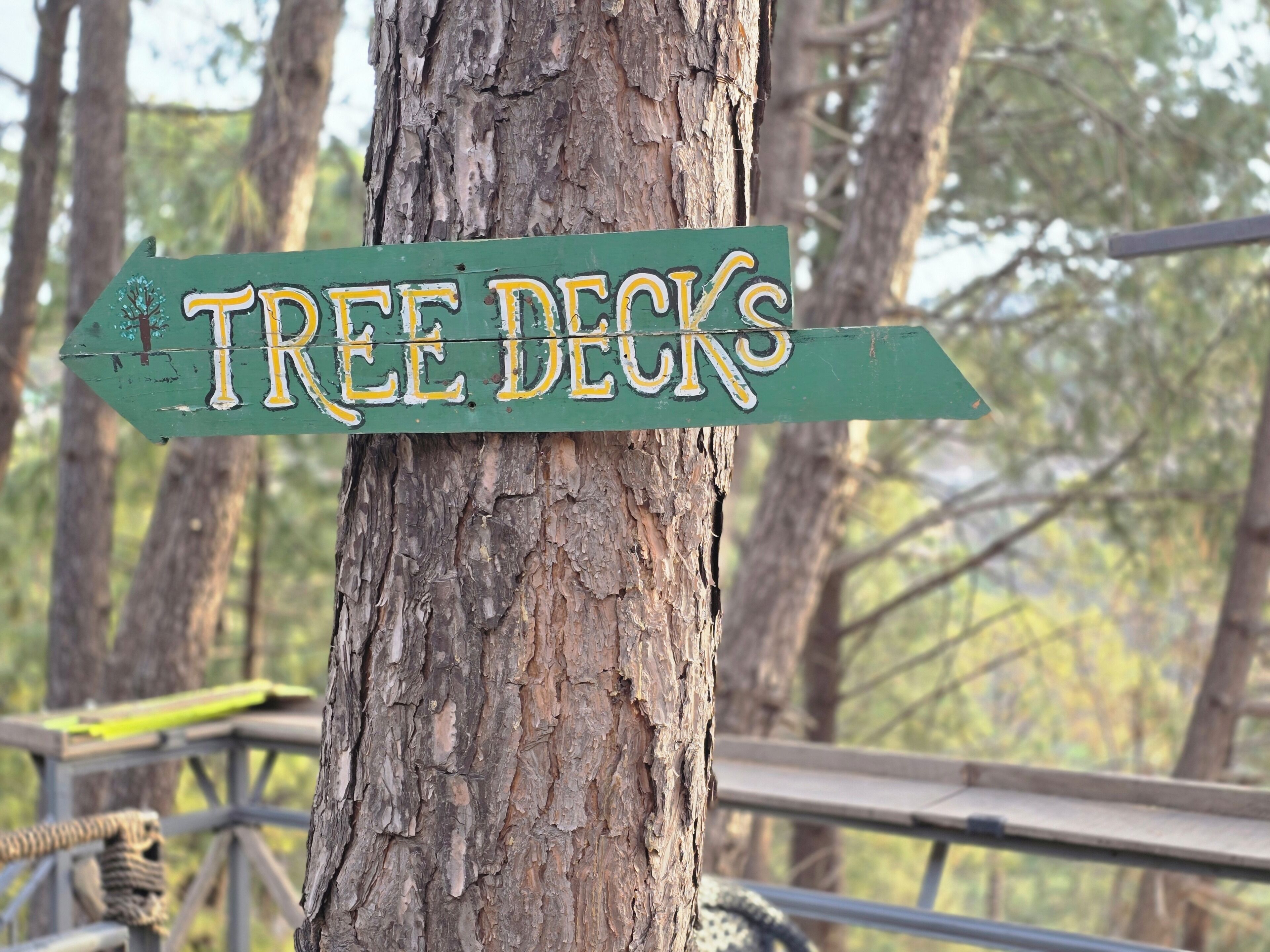 Un panneau en bois portant l’inscription « TREE DECKS » et pointant vers la droite.