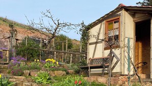 Un jardín rústico con un sendero de piedra que conduce a una cabaña de madera.