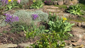 Un jardín con diversas plantas y flores, una valla de madera y una ladera rocosa al fondo.