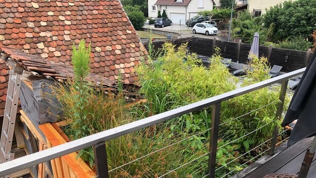 A balcony with a metal railing, wooden deck, and a view of a house with a tiled roof. - La Petite Maison Sous le Toit - 25 km Nord de Strasbourg (Kriegsheim)