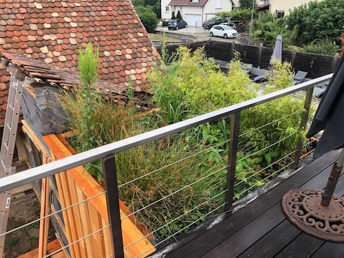 La petite maison sous le toit - 25 km Nord de Strasbourg