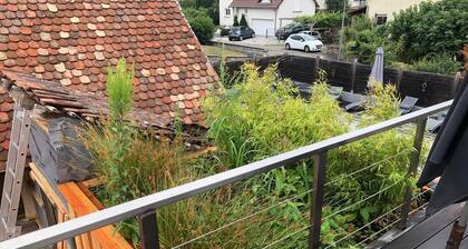 La petite maison sous le toit - 25 km Nord de Strasbourg