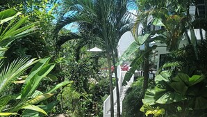 A garden pathway with stone steps surrounded by lush greenery and large rocks. - Room B8 - PANORAMIC SEA VIEW (Koh Samui)