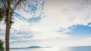 A beach with a palm tree and green shrubs, a sandy shore, and the ocean in the background. - Sunrise Oceanfront Mui Ne - V Ruby (Mui Ne)