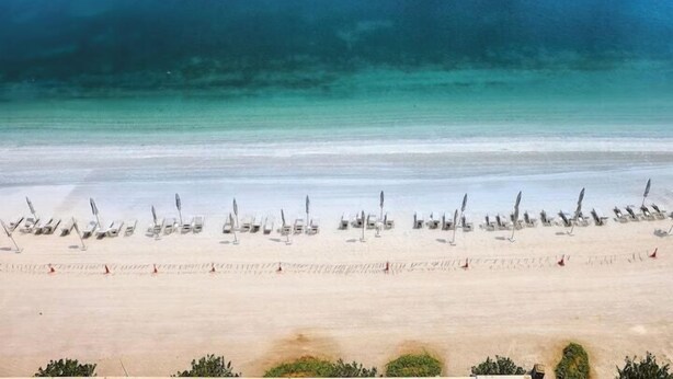 A beach with rows of sun loungers and umbrellas, a sandy shore, and a calm sea. - Vogue | Beach Vista near Palm Jumeirah | JBR (Dubai)