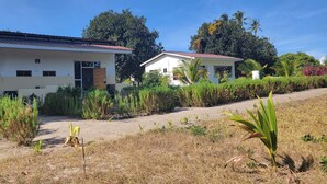 A modern two-story house with a large front yard, a paved driveway, and a variety of tropical plants.