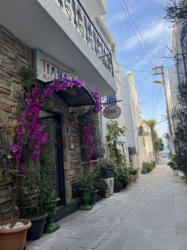 A narrow street with a building labeled "Tiana Boutique Hotel" featuring a stone facade, potted plants, and purple flowers. - Tiana Butik Otel (Bodrum)